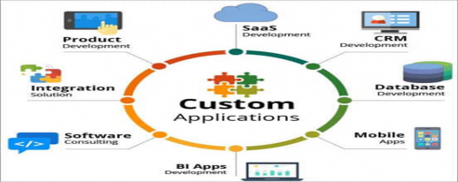 Custom Software Development